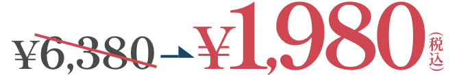 6,380円のところ、初回限定1,980円（税込）